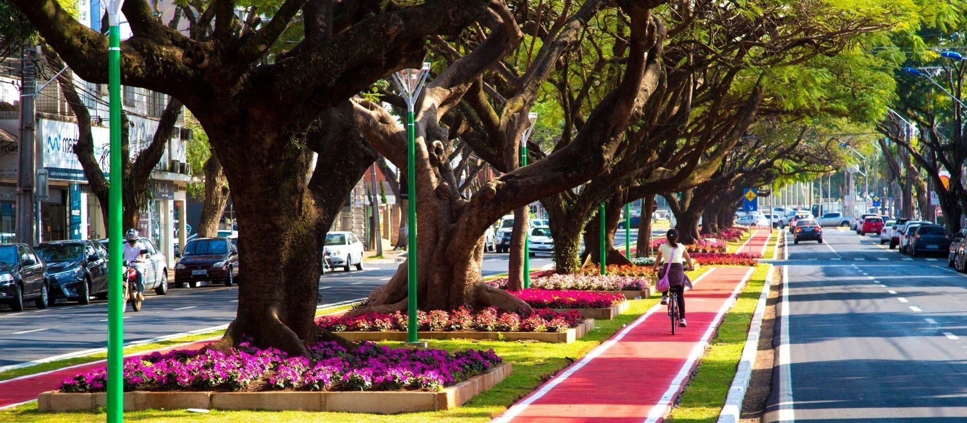 Jardim Itaipu Maringá: Perfil, Infraestrutura e Imóveis 5 Caminho arborizado com flores coloridas.